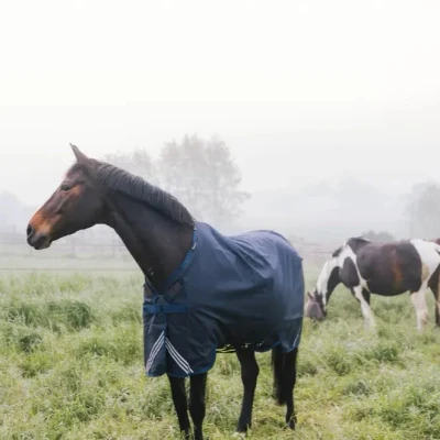 Image of Kentucky Winter Rug All Weather Waterproof Comfort 300g