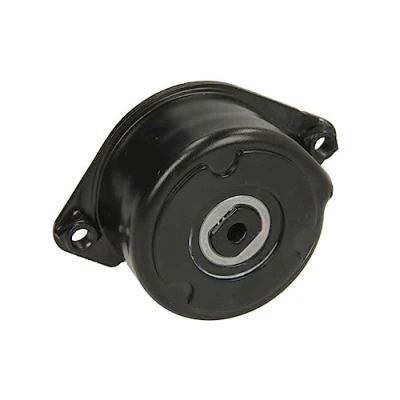Image of Tensioner Lever, v ribbed belt INA 534 0171 10