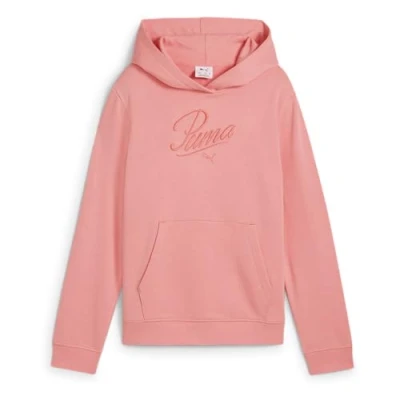 Image of PUMA Girl&#039;s Ess Script Hoodie Tr G Hoodies (pack of 1)