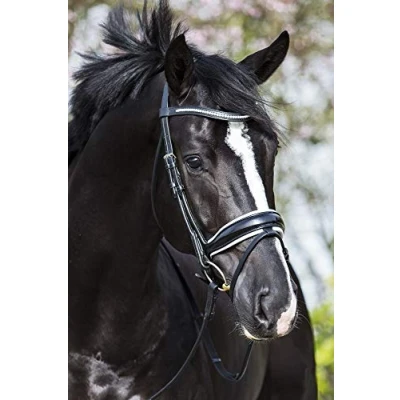 Image of Premiera &quot;Verona&quot; black anatomical bridle with white padded noseband