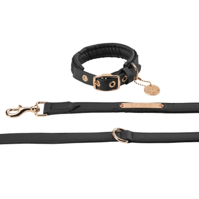 Image of Eskadron FW&#039;24 Heritage Collar and lead