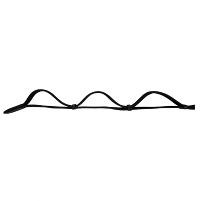 Image of Premiere Web Hunting Reins