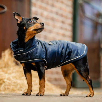 Image of Horseware Signature Dog Rug