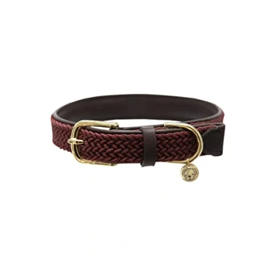 Image of Kentucky nylon plaited dog collar