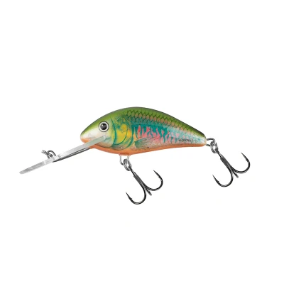 Image of Salmo Hornet 6cm 10g Floating 2,0 5,6m Holo Oikawa Hard lure